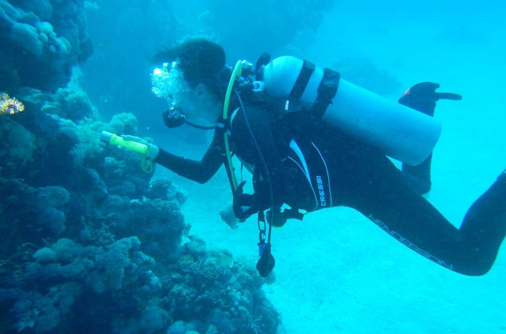 Saving Living Jewels: One Woman’s Mission to Shine a Light on the Ornamental Fish Trade