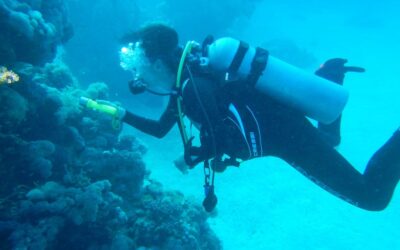 Saving Living Jewels: One Woman’s Mission to Shine a Light on the Ornamental Fish Trade